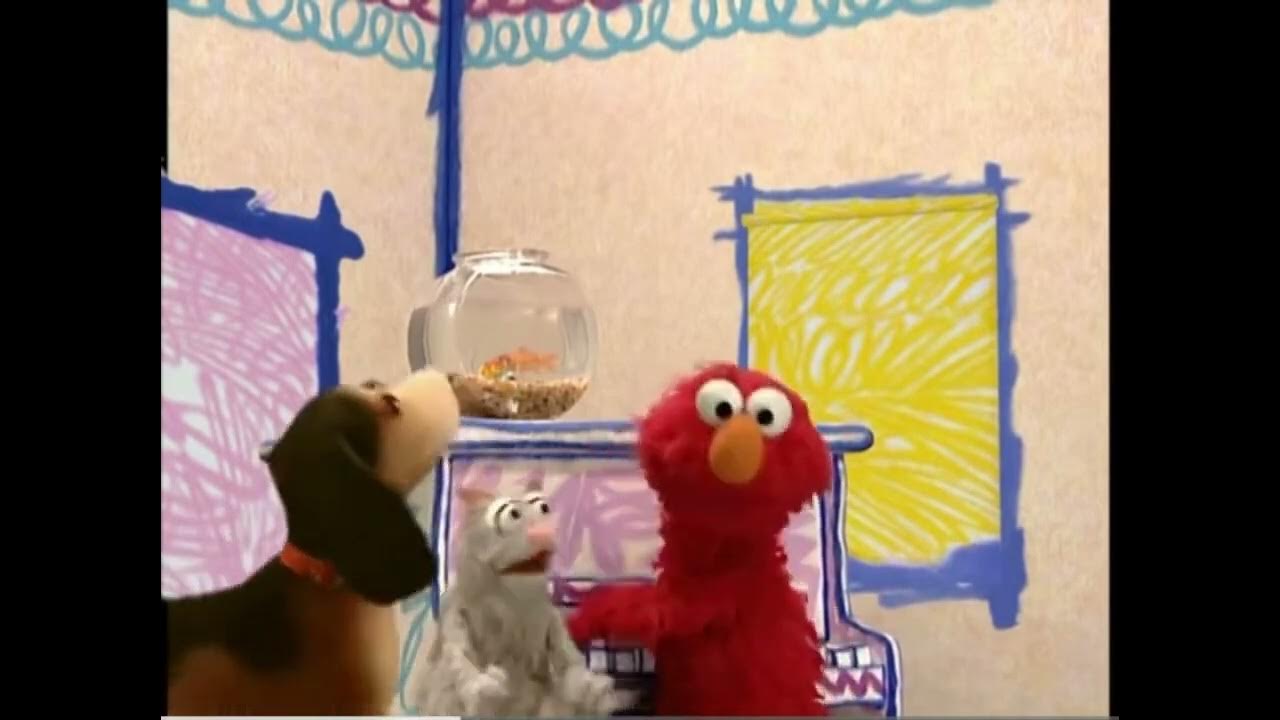 Elmo And Friends Find The Best Pet Elmos world pets songs fast slow and reversed - YouTube