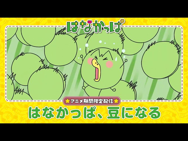 はなかっぱ