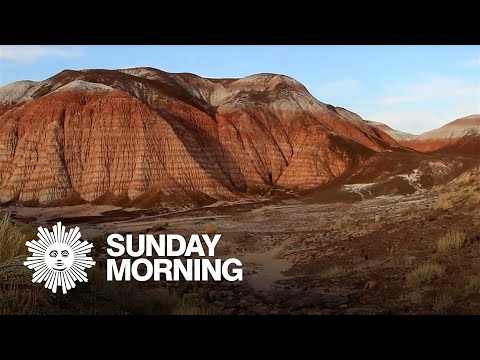 Nature: Arizona's painted desert