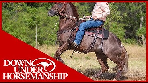 Clinton Anderson: Handling a Rearing Horse - Downunder Horsemanship