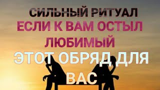 От Остуды сильный ритуал От Остуды сильный ритуал