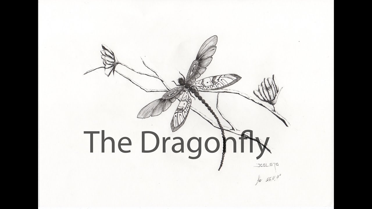 Dragonfly drawing - YouTube