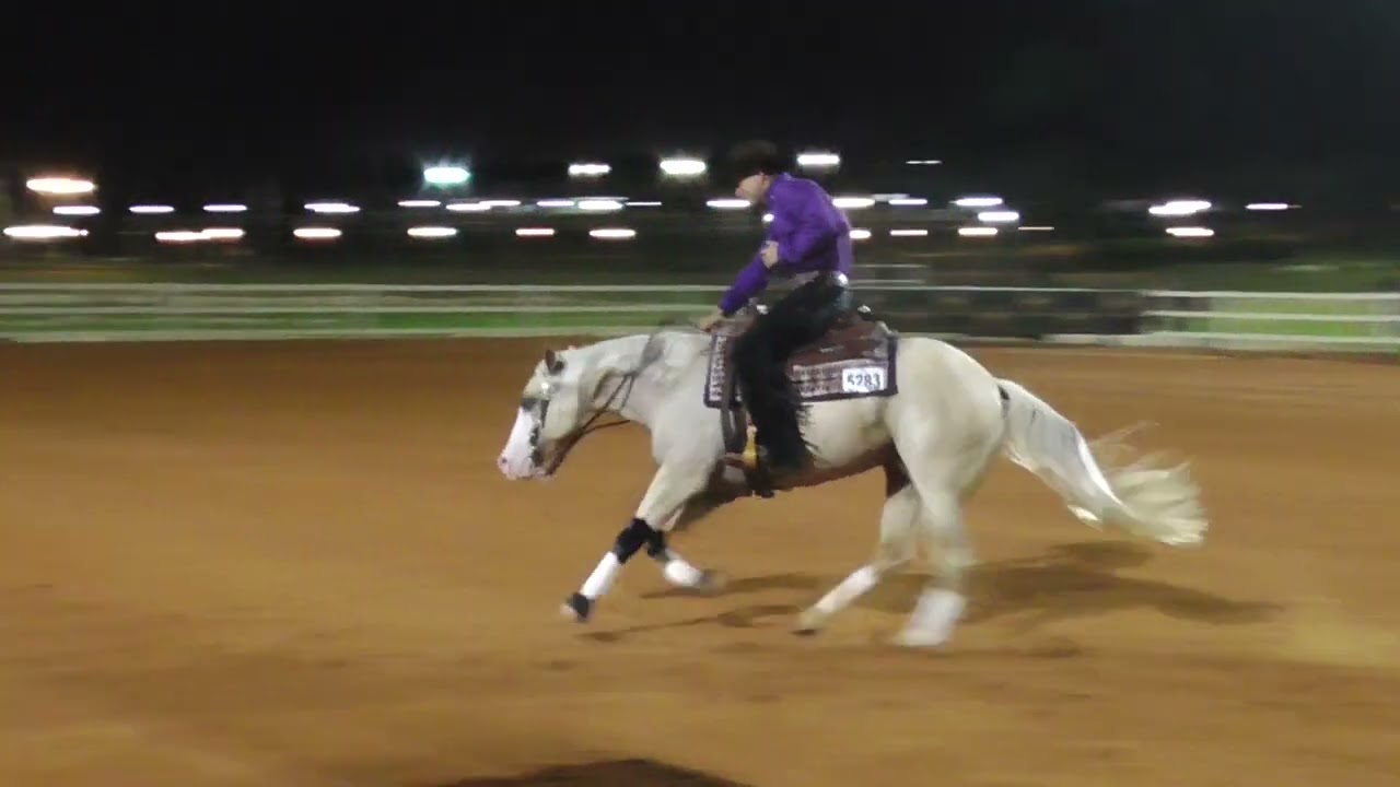 IEF nrha futurity champions- ygal Jackson aboard "theo" scoring 74.5