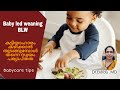 Baby led weaning     dr bindu