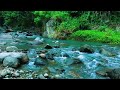 Peaceful River Water Sounds - Calming Natural Ambience for Sleep