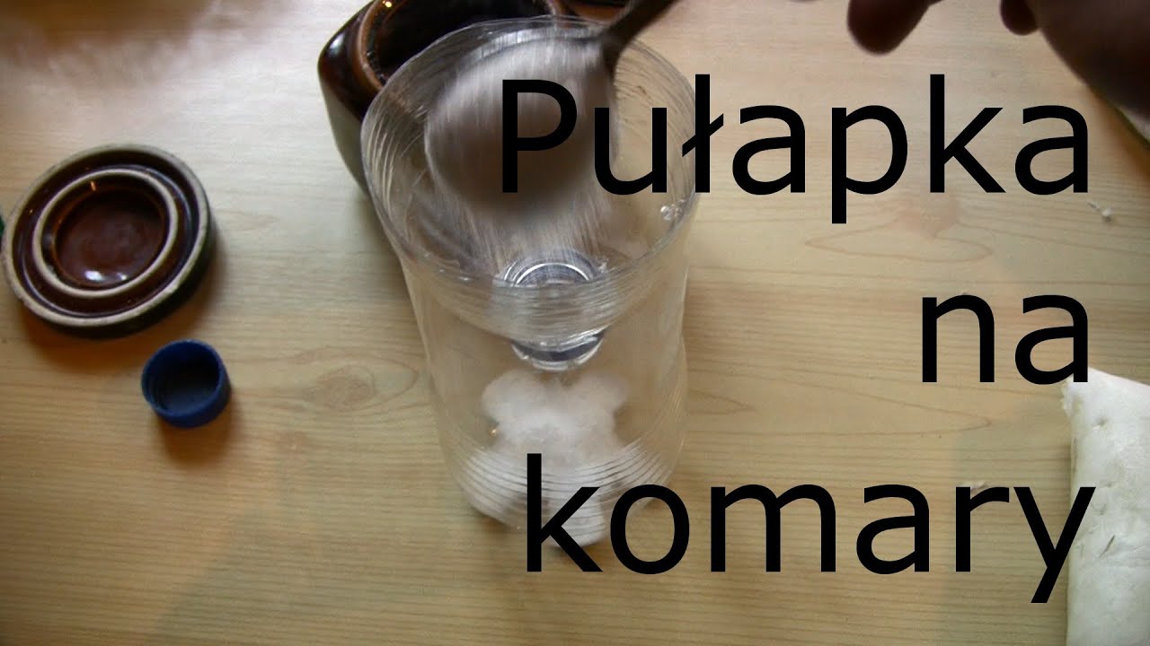 pułapka na komary