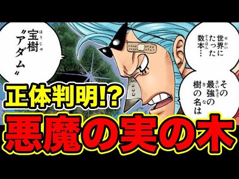 ワンピース 最新版 麦わらの一味 強さランキングベスト10 18 Top 10 Straw Hat Crew Strength Ranking Youtube