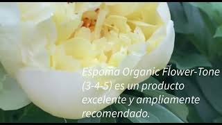 🌸 How I Fertilize My Peonies with Espoma Flower-Tone (3-4-5) screenshot 2