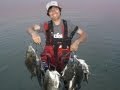 超注目！2013チヌ新釣法「バイブで速巻きボトム引き」