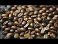 DEMO PUBLICITE - RAW PRESSERY -  Laleo Studio | Voix Off