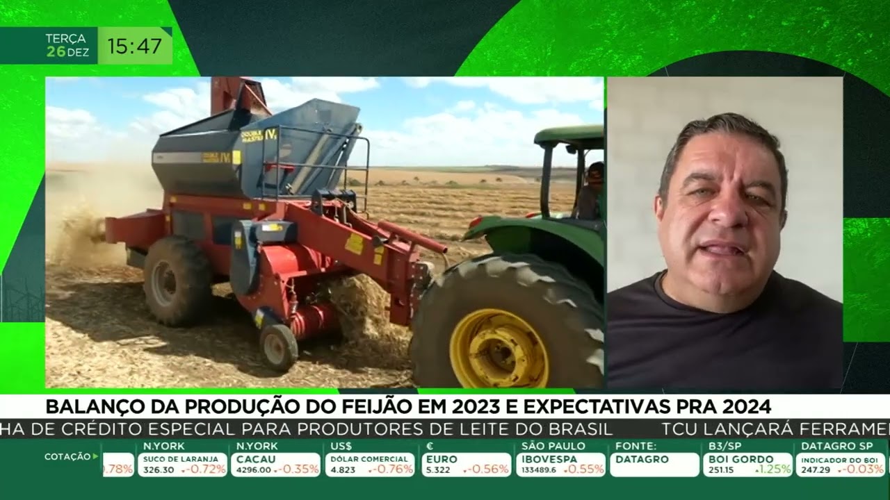 Balanço da produção do feijão em 2023 e expectativas para 2024