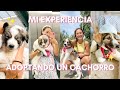 MI EXPERIENCIA ADOPTANDO un CACHORRO *MASTÍN DEL PIRINEO* || Ana Blanca