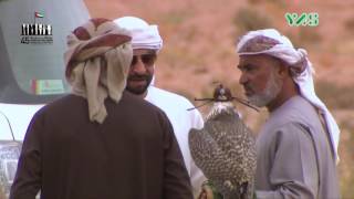 المقناص - مقناص الشيخ حمدان بن زايد من المملكة المغربية | 02-12-2016