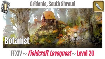 FFXIV Botanist Leves Level 20 - Gridania, South Shroud - A Realm Reborn