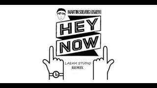 Martin Solveig & The Cataracs - Hey Now ( Lasam Studio Remix )