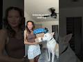 Pr Unboxing With Yuki рџђ Dogshorts Pets Dog Pup Unboxing Pr Doglover Dogowner Haircare Pr Unboxing With Yuki рџђ Dogshorts Pets Dog Pup Unboxing Pr Doglover Dogowner Haircare