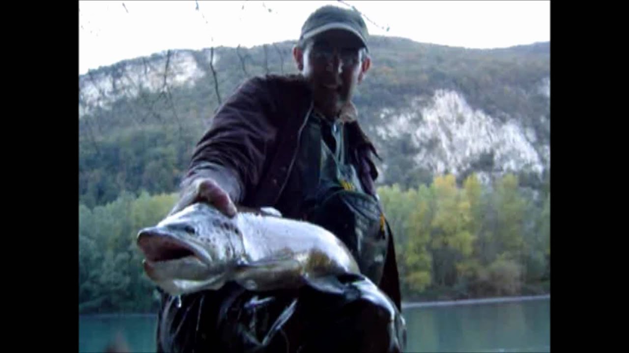 Truite de l'Isere 66cm.wmv