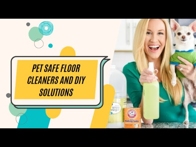 The Essential Guide to Cat-Safe Household Cleaners 6 sddefault