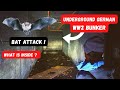 Lost German WW2 weapon bunker . Bat attack !