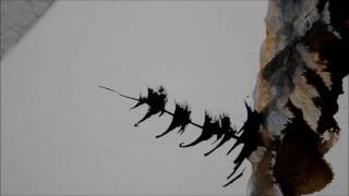 painting pine trees in watercolor youtube