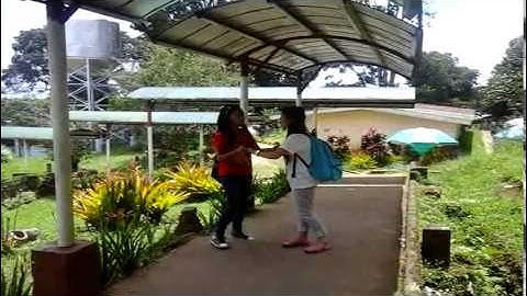 Expectancy Violation Theory