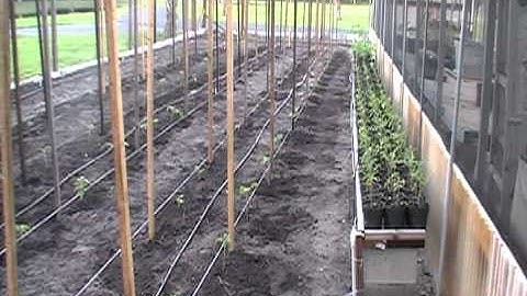 MOV087.MOD Clickin Along...