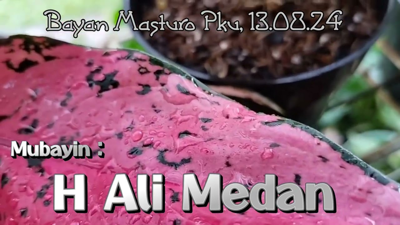 Bayan Masturo H Ali Medan 13 Agustus 2024 Pekanbaru