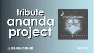 ANANDA PROJECT TRIBUTE  SOULFUL HOUSE MIX