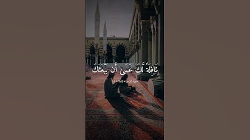 أَقِمِ الصَّلَاةَ لِدُلُوكِ الشَّمْسِ - تلاوة هادئة بصوت علي جابر ارح سمعك 🤍🎧.