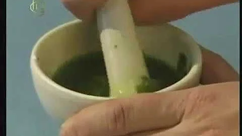 Как получить ХЛОРОФИЛЛ в домашних условиях