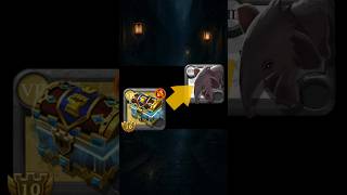 중형 정복자 상자 ?! #albiontips #albion #albiononline #albioneast #albionguide #알비온온라인 #알비온 #games
