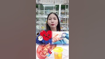 Nguyên nhân gây suy thận | Dược Sĩ Hiếu #short #shorts #duocsihieu