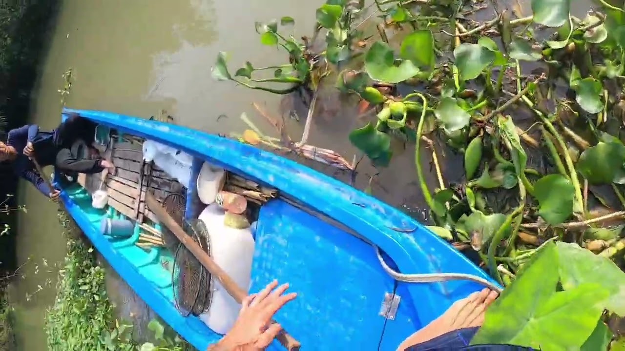 Thăm lờ cá cuối tuần  cả nhà xem video vui vẻ ạ