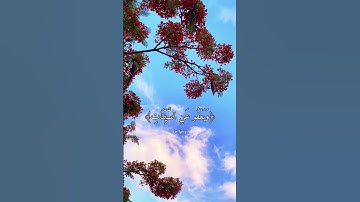 القارئ محمد كمال هاشم - وهو الذي يقبل التوبة عن عباده ويعفو عن السيئات ويعلم ما تفعلون - سورة الشورى