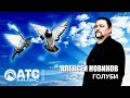 Красивый шансон ✬ Алексей Новиков - Голуби ✬ Премьера 2022