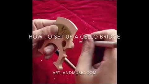 how to cut a cello bridge to fit the cello