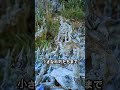 森に現れた中世都市