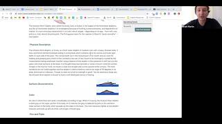Shared Reading Tuesday Week 2