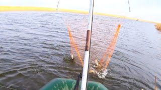 видео: НАШЁЛ ХОД РЫБЫ! Надёргали корыто рыбы на ПАУК ПОДЪЕМНИК ВЕСНОЙ. Рыбалка на паук. Рыбалка 2022 картинка: НАШЁЛ ХОД РЫБЫ! Надёргали корыто рыбы на ПАУК ПОДЪЕМНИК ВЕСНОЙ. Рыбалка на паук. Рыбалка 2022