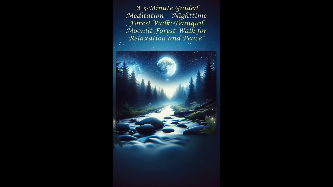 A 5-Minute Guided Meditation - Nighttime Forest Walk: Tranquil Forest ...