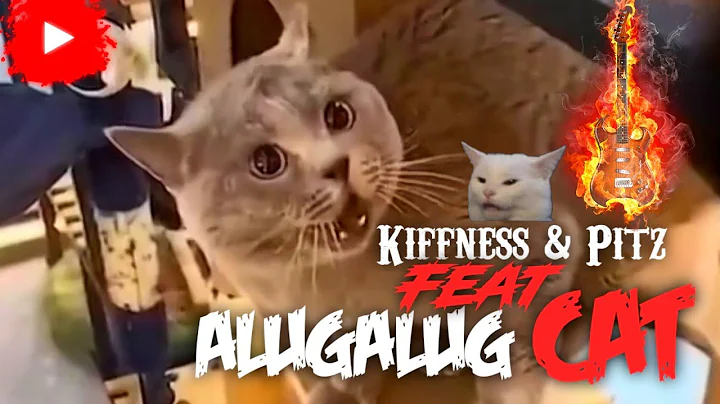 Alugalug Cat Goes Rock Feat Kiffness & Pitz