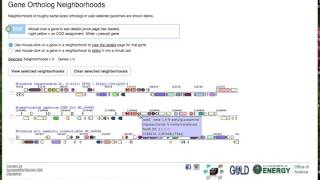IMG/ER Tutorial 3: Gene Neighborhoods and BLAST on IMG