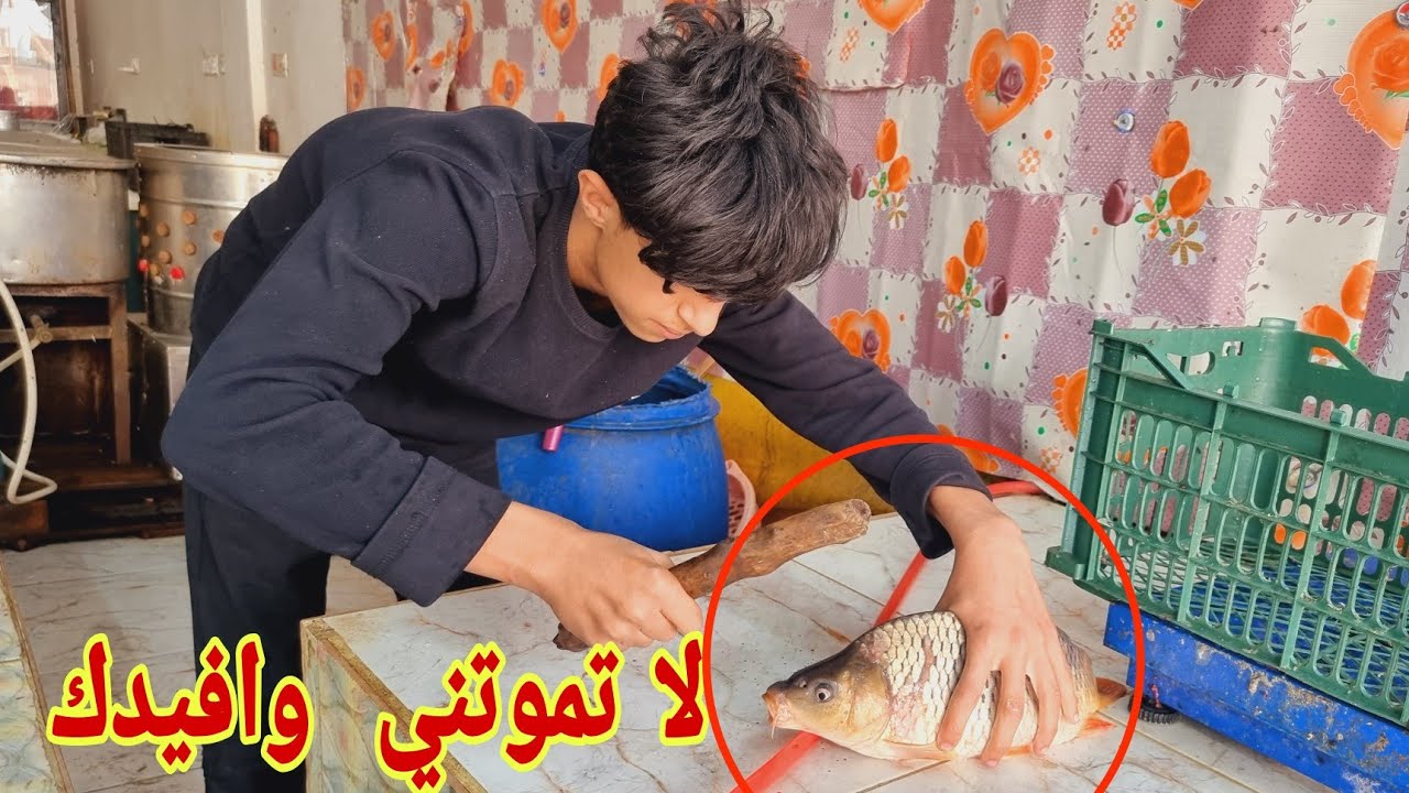 فلم عراقي قصير الدجاجه الذكيه