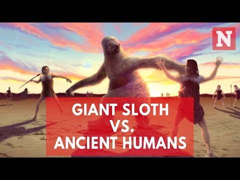 Video: Scientists Have Uncovered A Scene Of Ancient People Hunting For Giant Sloths - Alternative View