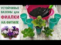 🌷🌹🌷КАК СДЕЛАТЬ устойчивые  ВАЗОНЫ для ФИАЛКИ на фитиле⁉️