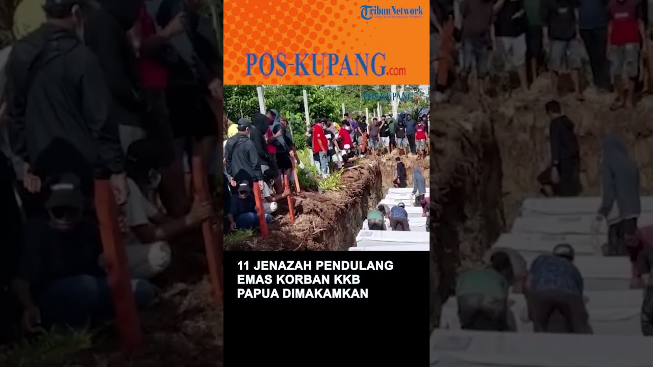 11 Jenazah Pendulang Emas Korban KKB Papua Dimakamkan Massal di Dekai Yahukimo