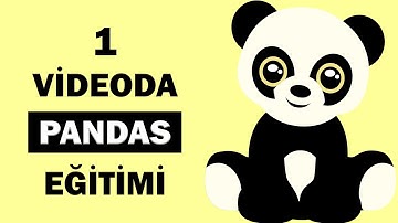 1 VİDEODA PANDAS KÜTÜPHANESİ 🐼 Python Veri Bilimi Dersleri