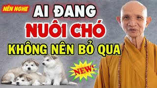 Những Ai NUÔI CHÓ Nhất Định Phải Biết Những Điều Quan Trọng Này  HT. THÍCH GIÁC HẠNH