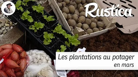 Quels légumes planter en mars ?