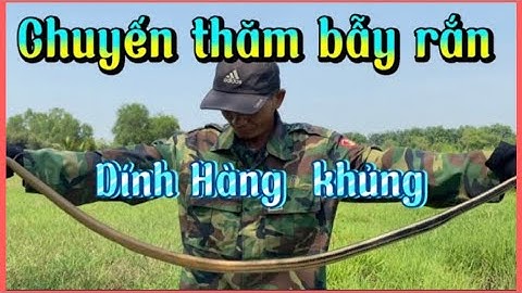 Chuyến thăm bẫy rắn | thời tới cản không nổi - săn bắt ẩm thực